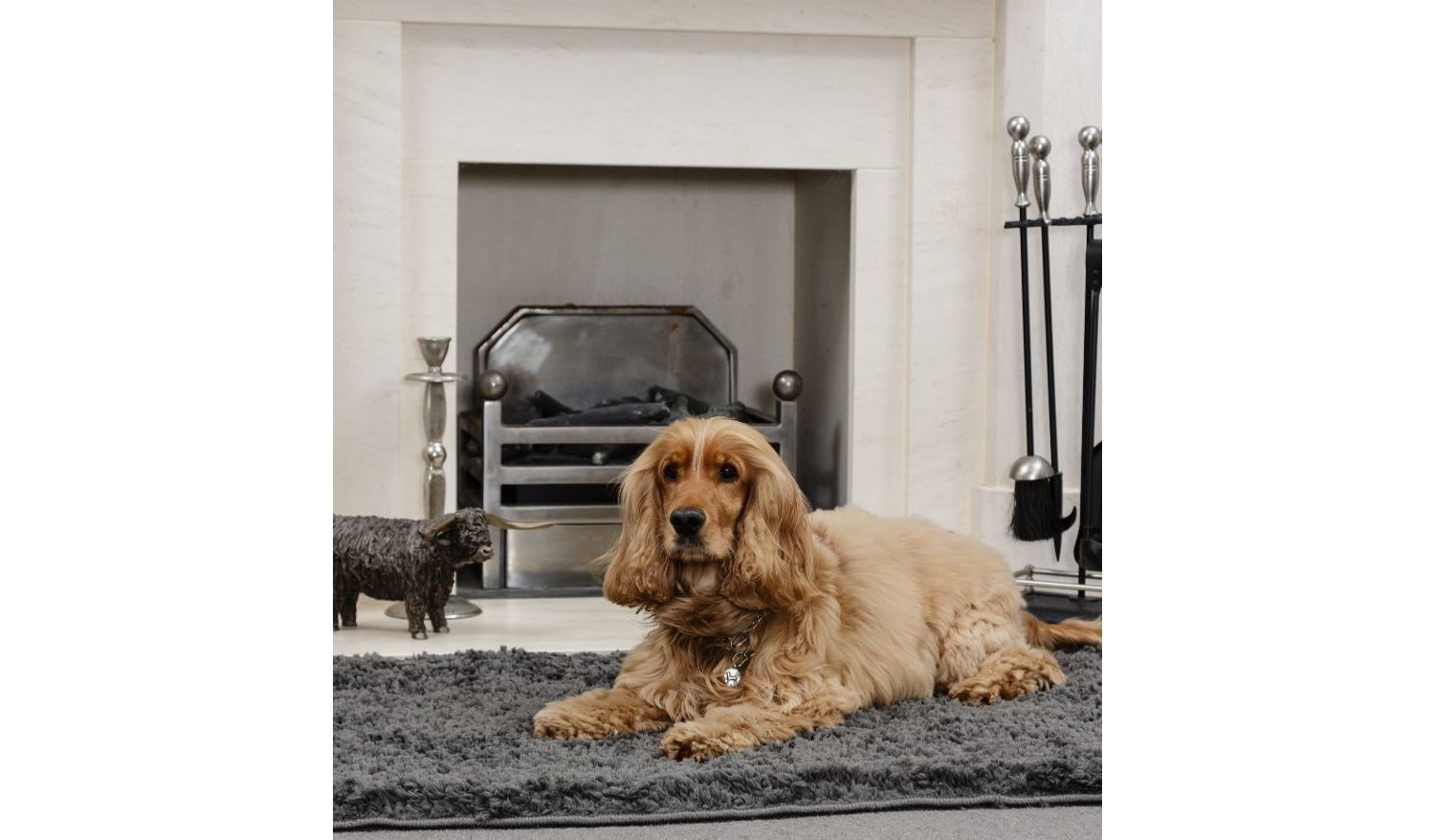 Pet Rebellion Snug Rug Premium-Matte 67x100 Cm – Rutschfest, Dunkelgrau, Maschinenwaschbar