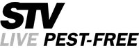 STV International