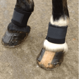 KITT Pastern Wraps - Black (One Size)