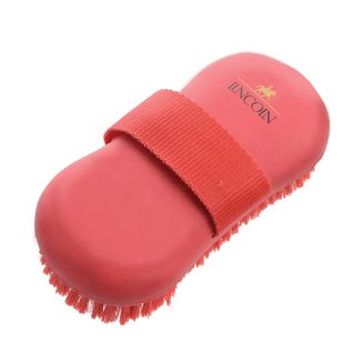 Lincoln Oval Horse Wash Brush
