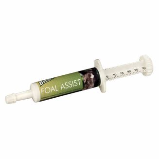 Baileys Foal Assist Syringe
