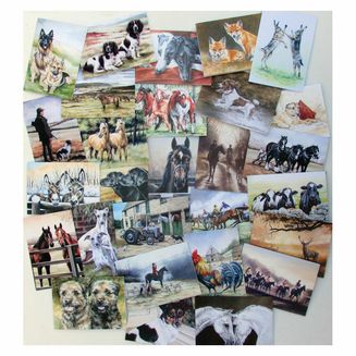 Caroline Cook Equestrian and Countryside Cards