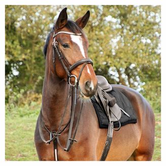 Hy Equestrian Rosciano Rose Gold Brow Band