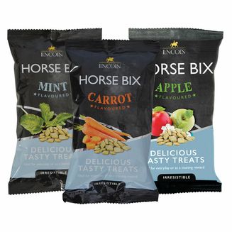 Lincoln Horse Bix