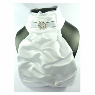 ShowQuest Regency V Stock