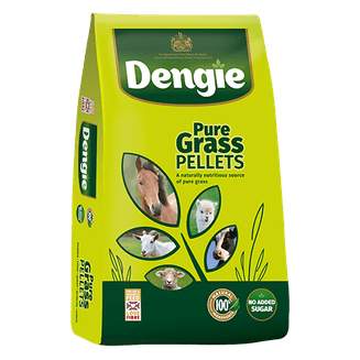 Dengie Natural Grass Pellets For Horses - 15kg