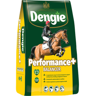 Dengie Performance+ Energy Balancer Horse Feed - 15kg