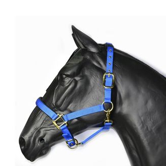 Hy Deluxe Padded Head Collar For Cob