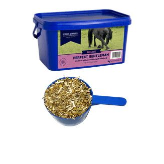 D&amp;H Perfect Gentleman (Formerly Naughty Gelding)