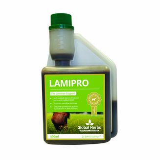 GLOBAL HERBS LAMIPRO LIQUID