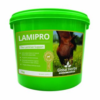 GLOBAL HERBS LAMIPRO POWDER