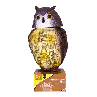 STV Action Owl (STV965)