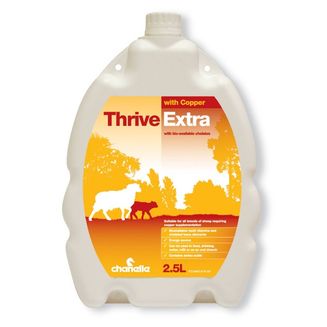 Thrive Extra Plus Copper