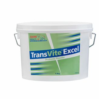 Transvite Excel