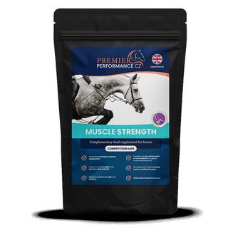 Premier Performance Muscle Strength