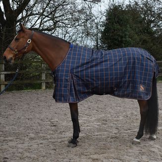 WHITAKER JACOB LIGHTWEIGHT TUROUT RUG NAVY/ORANGE