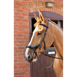 EQUILIBRIUM NET RELIEF ANATONIMUZZLE NET
