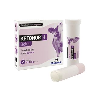 NORBROOK KETONOR+ BOLUS