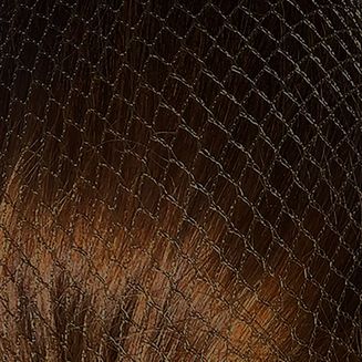 HARPLEY EQUESTRIAN HAIRNETS STANDARD