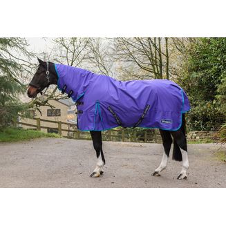 WHITAKER R441 RASTRICK V2 0G FIXED NECK TURNOUT RUG PURPLE