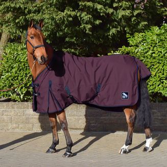 WHR1 W-HORSE 0G TURNOUT RUG PURPLE