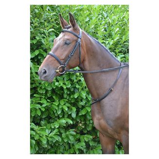Hy Equestrian Leather Neck Strap