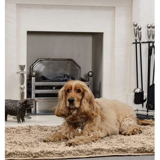 Pet Rebellion Snug Rug For Dogs 67 x 100cm