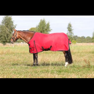 HyCONIC 50g Turnout Rug