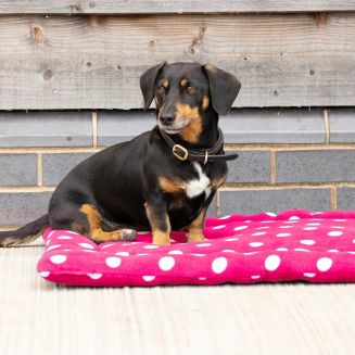 Supreme Products Dotty Fleece Dog Bed