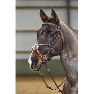 Whitaker Bp052 Valencia 5 Point Breastplate Havana Light Havana