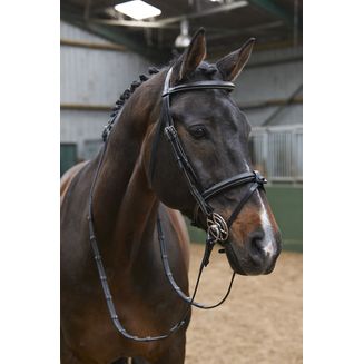 Whitaker Br051a Eastwood Raised Flash Bridle with Reins Black