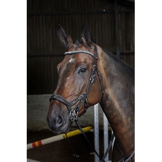 Whitaker Br070 Chicago Anatomic Bridle with Reins Black