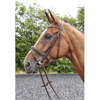 Whitaker Br078 Barton Bling Flash Bridle Havana
