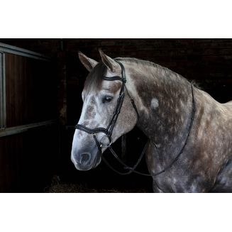 Whitaker Br103 Stockholm Anatomic Bridle Black