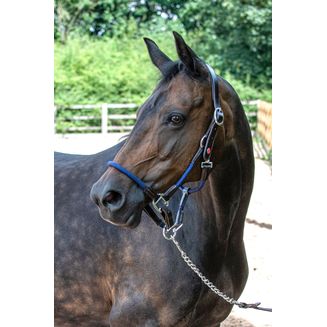 Whitaker Hc065 Raywell Soft Rope Headcollar Brown/Navy
