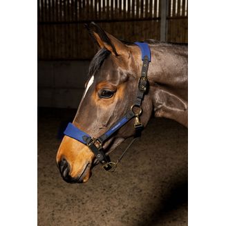 Whitaker Hc096 Harewood Headcollar Navy
