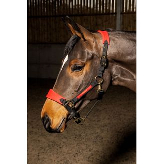 Whitaker Hc096 Harewood Headcollar Red Red/Black