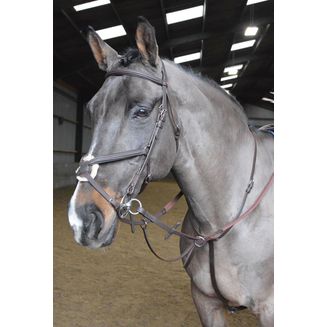 Whitaker Ma054 Ready To Ride Martingale Havana