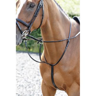 Whitaker Ma077 Barton Martingale Black