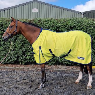 Whitaker R370 Allerton Multi-Function Cotton Sheet Yellow