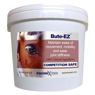 Equine Exceed Bute-EZ