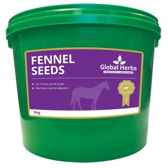 Global Herbs Fennel Seeds