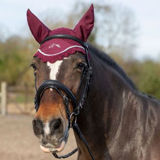 Gallop Classic Fly Veil Burgundy