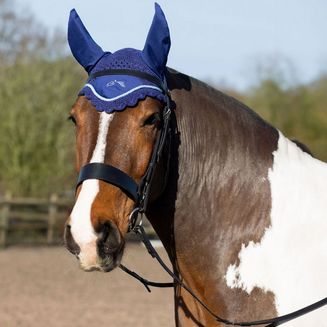 Gallop Classic Fly Veil Navy