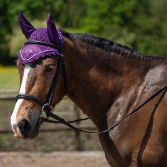 Gallop Classic Fly Veil Purple