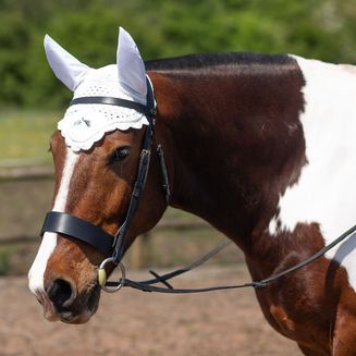 Gallop Classic Fly Veil White
