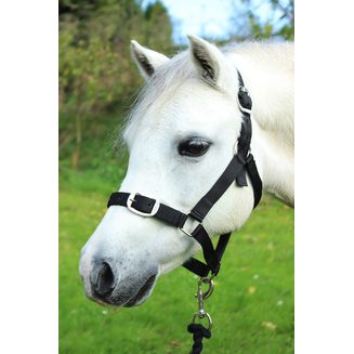 Gallop Headcollar &amp; Lead Rope Set Black