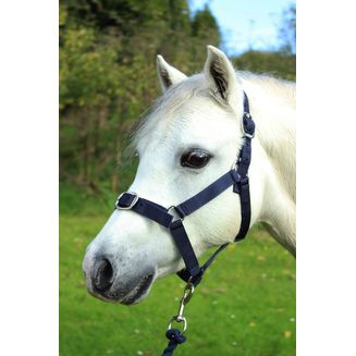 Gallop Headcollar &amp; Lead Rope Set Navy