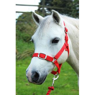 Gallop Headcollar &amp; Lead Rope Set Red