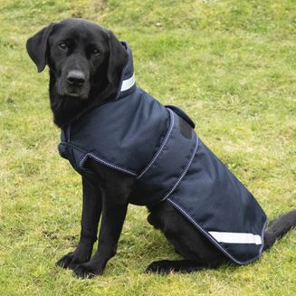Benji &amp; Flo Waterproof Dog Coat